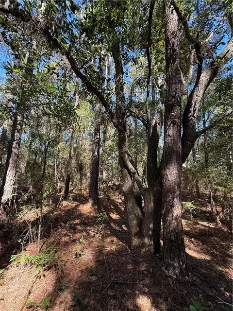 Baham Road, Covington, LA 70433 photo 3