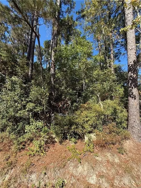 Baham Road, Covington, LA 70433 photo 2
