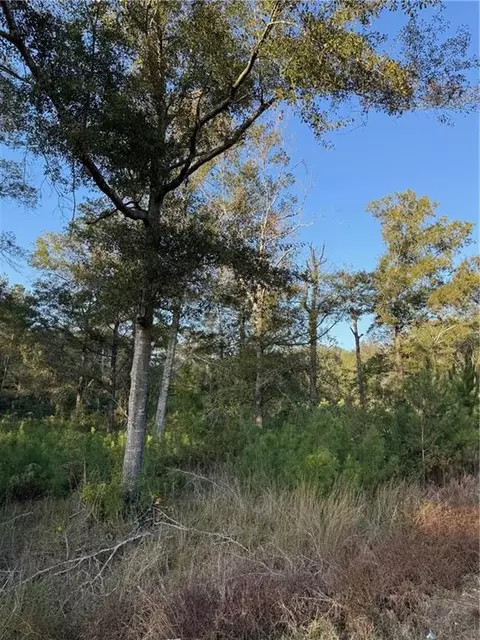 tbd Hwy 442 And Hwy 1065, Tickfaw, LA 70466