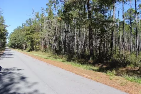 Old Gainsville - Pearlington Road, Pearlington, MS 39572