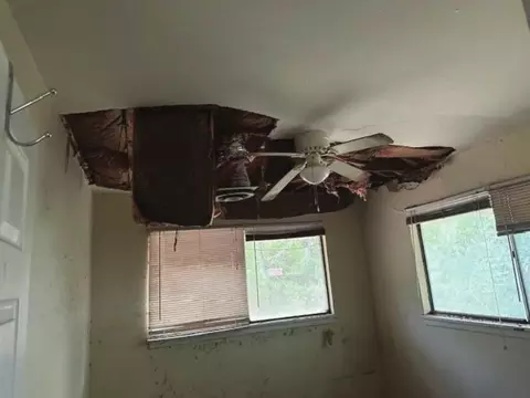 Other - 350 Cedar St, Slidell, LA 70460 photo 3 of 3