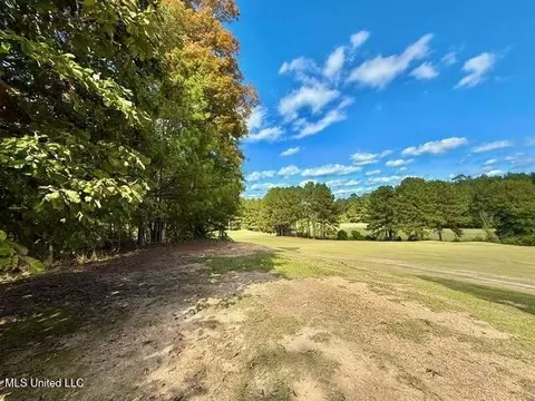 Milltownte Drive, Wesson, MS 39191