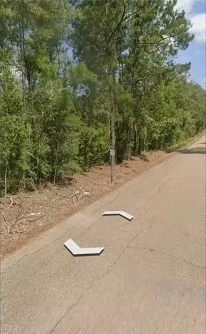 Coates Road, Springfield, LA 70462 photo 2