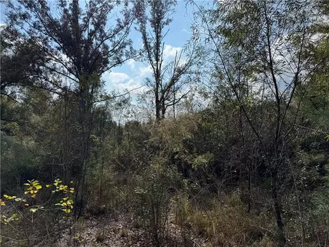 tbd Patterson Rd, Springfield, LA 70462 photo 8