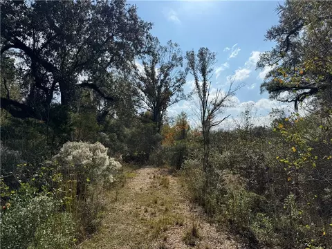 tbd Patterson Rd, Springfield, LA 70462 photo 6