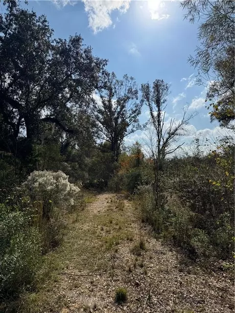 tbd Patterson Rd, Springfield, LA 70462 photo 5