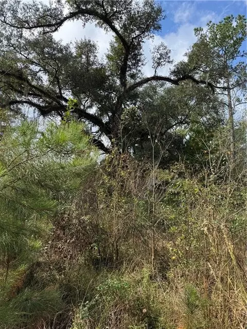 tbd Patterson Rd, Springfield, LA 70462 photo 12