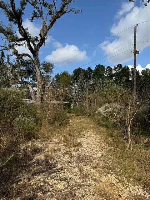 tbd Patterson Rd, Springfield, LA 70462 photo 11