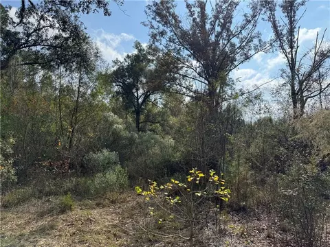 tbd Patterson Rd, Springfield, LA 70462 photo 9