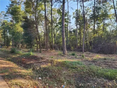 0 98 Acres Vacant Land 1-b Old Uneedus Rd, Folsom, LA 70437