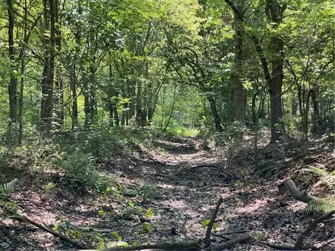 Poydras Plant Lot 10, Saint Bernard, LA 70085
