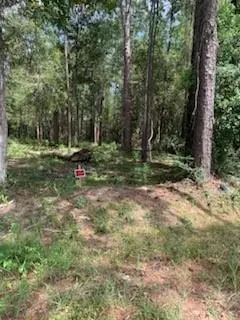 Cypress Street, Lacombe, LA 70445