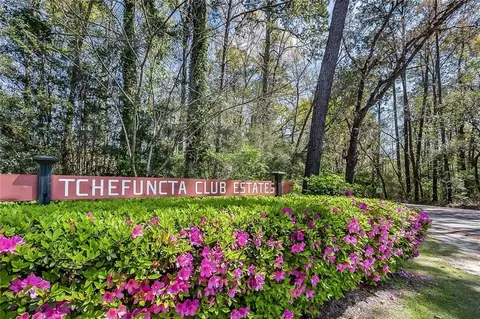 View/Area - 52 Mistletoe Dr, Covington, LA 70433 photo 3 of 3