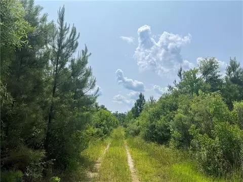 1439 Leonard Chapel Rd, Independence, LA 70443