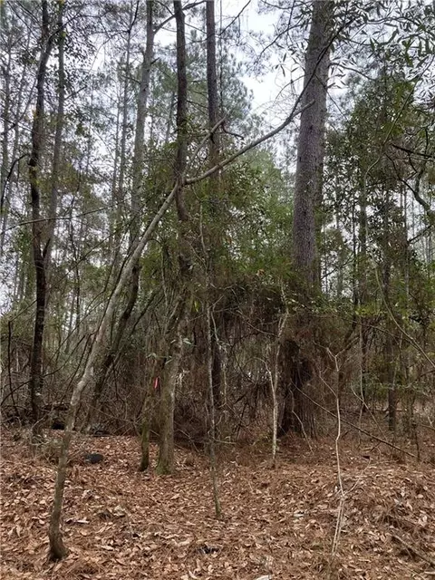Beta Lots 79 & 80 Avenue, Covington, LA 70435 photo 13