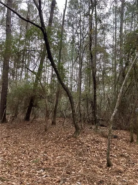 Beta Lots 79 & 80 Avenue, Covington, LA 70435 photo 5