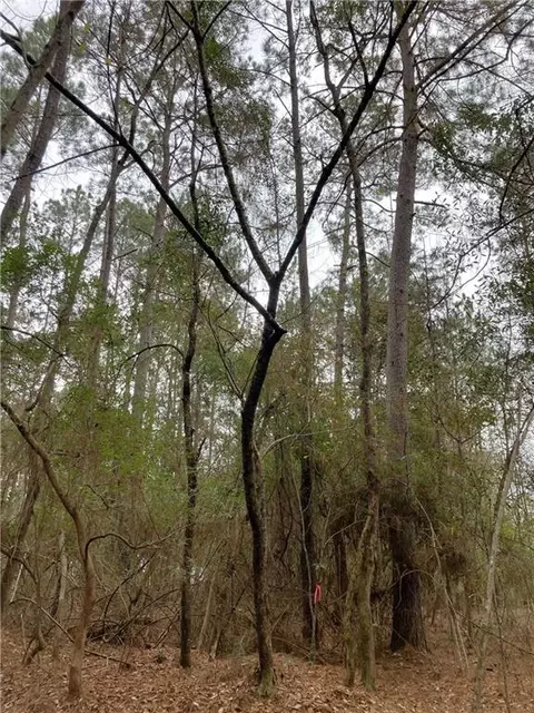 Beta Lots 79 & 80 Avenue, Covington, LA 70435 photo 6