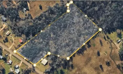6 203 Tbd 441 Hwy, Holden, LA 70744