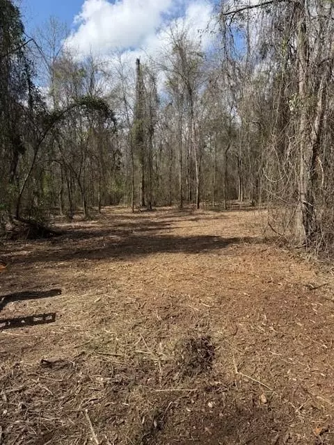 0 Wild Cherry Trce, Bush, LA 70431