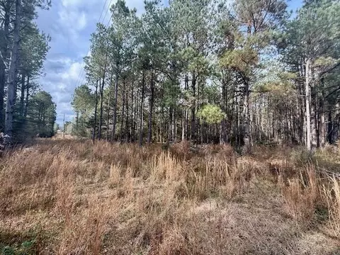 00 Burch Rd, Mount Hermon, LA 70450 photo 2