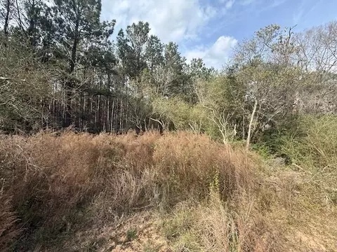 00 Burch Rd, Mount Hermon, LA 70450 photo 5