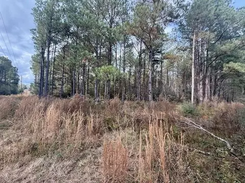 00 Burch Rd, Mount Hermon, LA 70450 photo 4