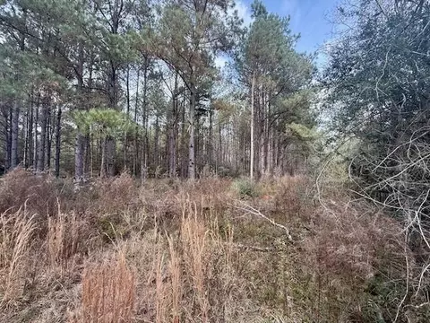 00 Burch Rd, Mount Hermon, LA 70450 photo 3