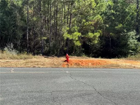 lot A Ten Mile Rd, Pitkin, LA 70656 photo 9