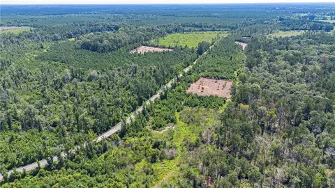 lot A Ten Mile Rd, Pitkin, LA 70656 photo 6