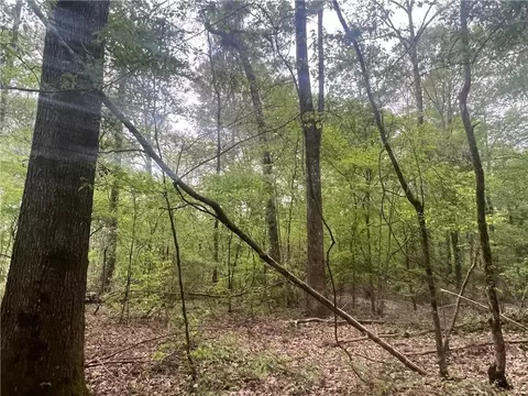 0 Hooper Rd, Deville, LA 71328 photo 35