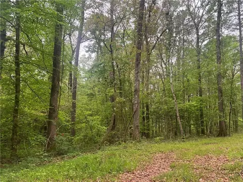 0 Hooper Rd, Deville, LA 71328 photo 6