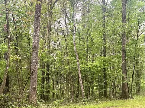 0 Hooper Rd, Deville, LA 71328 photo 11