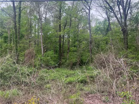 0 Hooper Rd, Deville, LA 71328 photo 10