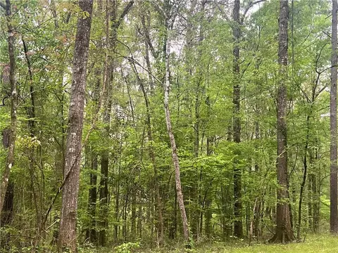 0 Hooper Rd, Deville, LA 71328 photo 3