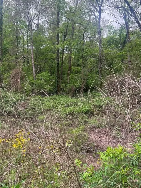 0 Hooper Rd, Deville, LA 71328 photo 9