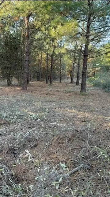 29 Jennie Ln, Picayune, MS 39466