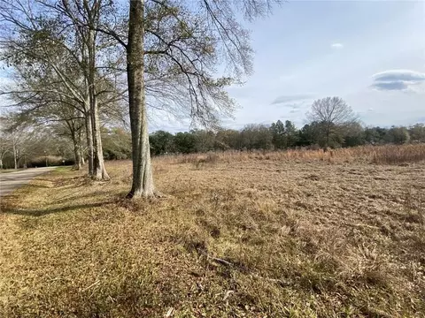 12410 Quaglino Rd, Folsom, LA 70437