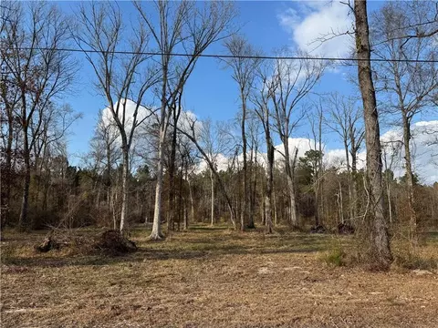 Tract 2-c E Shadow Lake Drive, Holden, LA 70744