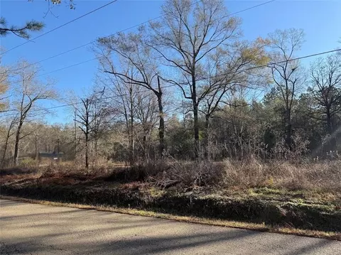 25230 Fire Tower Rd, Holden, LA 70744