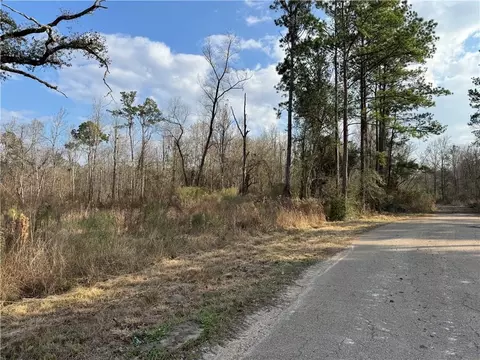 tbd Winder Rd, Springfield, LA 70462 photo 3