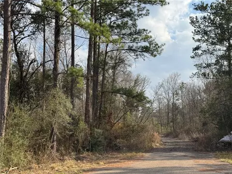 tbd Winder Rd, Springfield, LA 70462 photo 2