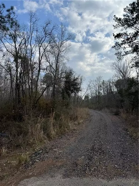 tbd Winder Rd, Springfield, LA 70462 photo 5