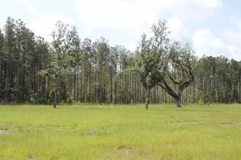 29658 Billy Joe Rd, Independence, LA 70443