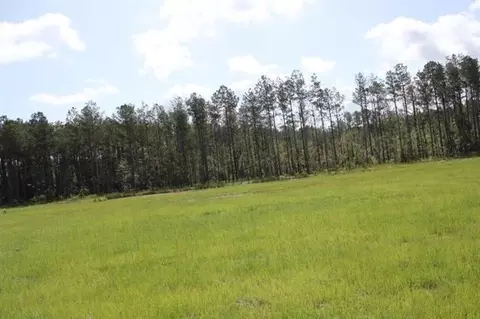 29644 Billy Joe Rd, Independence, LA 70443