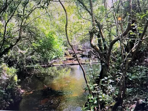 Off Stafford Road, Covington, LA 70433 photo 7