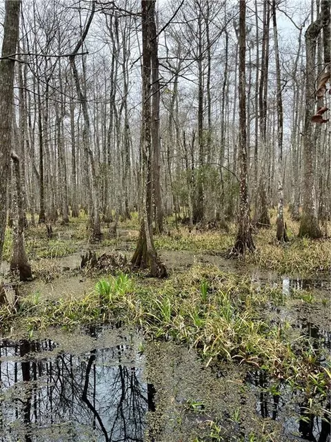 0 Lower Rome Rd, Springfield, LA 70462 photo 36