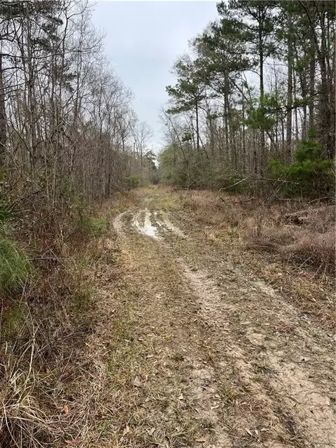 0 Lower Rome Rd, Springfield, LA 70462 photo 52