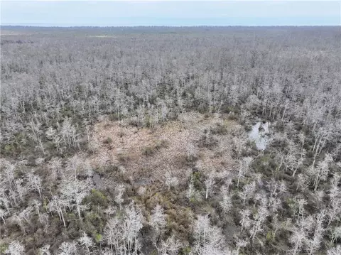 0 Lower Rome Rd, Springfield, LA 70462 photo 44