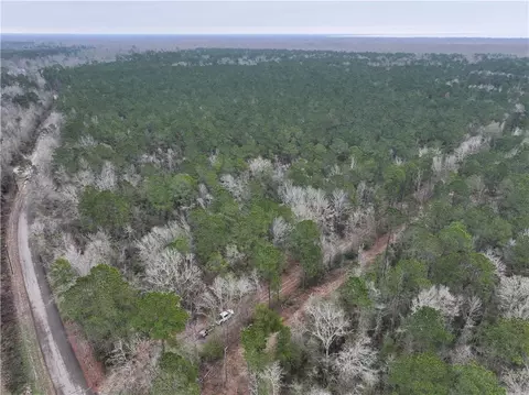 0 Lower Rome Rd, Springfield, LA 70462 photo 50