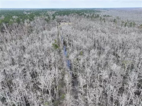 0 Lower Rome Rd, Springfield, LA 70462 photo 27